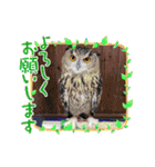 あにまるふれんずー（個別スタンプ：21）