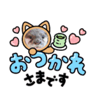 あにまるふれんずー（個別スタンプ：24）