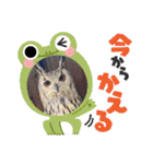 あにまるふれんずー（個別スタンプ：26）