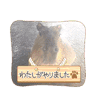 あにまるふれんずー（個別スタンプ：31）
