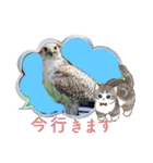 あにまるふれんずー（個別スタンプ：33）