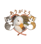 あにまるふれんずー（個別スタンプ：34）