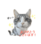ノアイヴスタンプ★（個別スタンプ：3）