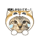 ノアイヴスタンプ★（個別スタンプ：10）