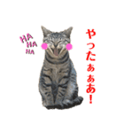 ノアイヴスタンプ★（個別スタンプ：15）