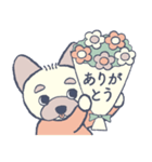 おめかし わんこ2【#犬の日】（個別スタンプ：5）