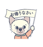 おめかし わんこ2【#犬の日】（個別スタンプ：24）