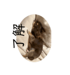 犬三昧Ver24（個別スタンプ：3）