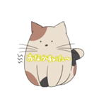 ふくふくねこ3（個別スタンプ：21）