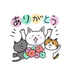 3匹のゆかいなねこんず（個別スタンプ：1）