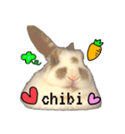 ウサギミニ（個別スタンプ：1）