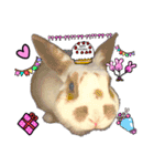 ウサギミニ（個別スタンプ：4）