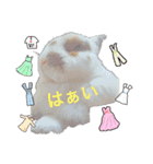 ウサギミニ（個別スタンプ：9）