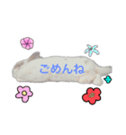 ウサギミニ（個別スタンプ：10）