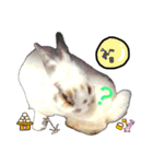 ウサギミニ（個別スタンプ：12）