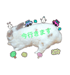 ウサギミニ（個別スタンプ：13）
