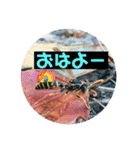 愉快な生き物達！4（個別スタンプ：2）