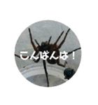 愉快な生き物達！4（個別スタンプ：4）