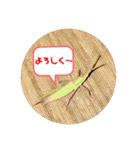 愉快な生き物達！4（個別スタンプ：5）