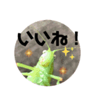 愉快な生き物達！4（個別スタンプ：7）