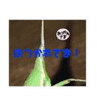 愉快な生き物達！4（個別スタンプ：11）