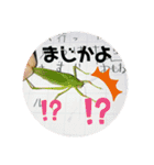 愉快な生き物達！4（個別スタンプ：12）