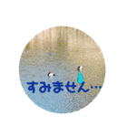 愉快な生き物達！4（個別スタンプ：13）