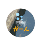 愉快な生き物達！4（個別スタンプ：14）