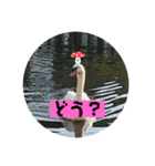 愉快な生き物達！4（個別スタンプ：18）