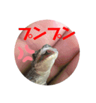 愉快な生き物達！4（個別スタンプ：19）