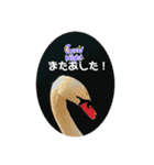 愉快な生き物達！4（個別スタンプ：20）