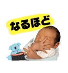 とうま君0歳のスタンプ（個別スタンプ：13）