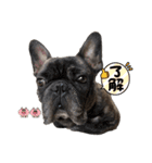 フレブルのリキ（返事・挨拶編）（個別スタンプ：4）