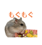 ハムすたんぷぅ（個別スタンプ：10）