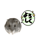 ハムすたんぷぅ（個別スタンプ：18）