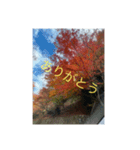 絶景と紅葉（個別スタンプ：2）