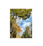 絶景と紅葉（個別スタンプ：5）