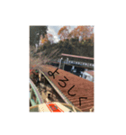 絶景と紅葉（個別スタンプ：7）