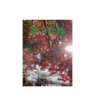 絶景と紅葉（個別スタンプ：8）
