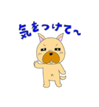 ブヒくんのLINEスタンプ（個別スタンプ：3）