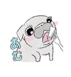 おはぎ ～黒パグの女の子～（個別スタンプ：8）