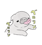 おはぎ ～黒パグの女の子～（個別スタンプ：26）