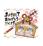 つくしとすみれ5 シーズー（個別スタンプ：1）