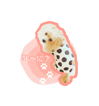 メロナラちゃん_202211（個別スタンプ：5）
