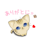 日常使える ちびっちょキジトラ仔猫（個別スタンプ：3）