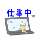 日常使える ちびっちょキジトラ仔猫（個別スタンプ：31）