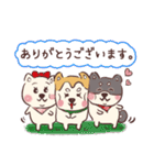 柴犬トリオ (いぬ)（個別スタンプ：6）