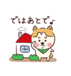 柴犬トリオ (いぬ)（個別スタンプ：16）