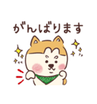 柴犬トリオ (いぬ)（個別スタンプ：24）