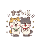 柴犬トリオ (いぬ)（個別スタンプ：26）